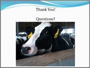 ICC酵母产品在奶牛上的应用研究 3 3